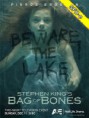 Bag of Bones | Saco de Ossos | Mini-série | Dual-Áudio